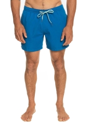 Quiksilver Everyday 15 Mavi Erkek Volley Short