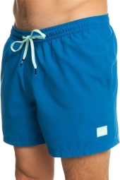 Quiksilver Everyday 15 Mavi Erkek Volley Short