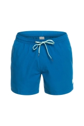 Quiksilver Everyday 15 Mavi Erkek Volley Short