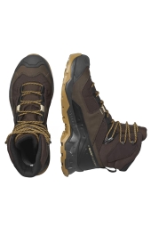 Salomon Quest Element Gore-Tex Erkek Kahverengi Outdoor Bot 