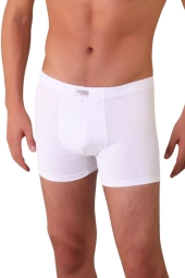 Thermoform HZTB16006 - Bambu Erkek Boxer